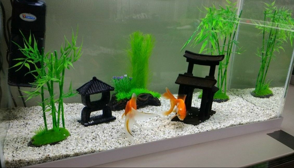 Japanse elementen in aquarium